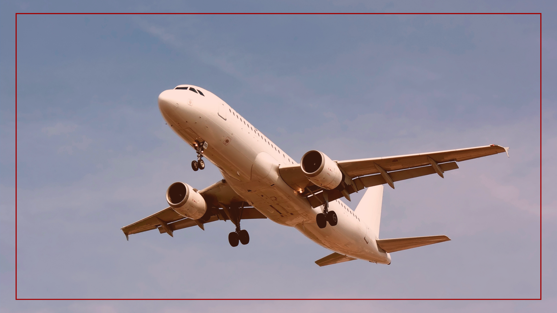 inclusion aeronautique